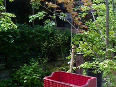 西神南ログハウスの庭- 女性建築士が造る庭・ガーデニング・外構 神戸|GARDENさくら