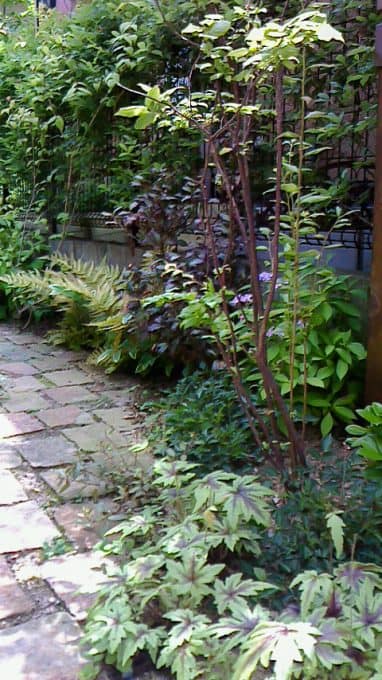 西神南ログハウスの庭- 女性建築士が造る庭・ガーデニング・外構 神戸|GARDENさくら